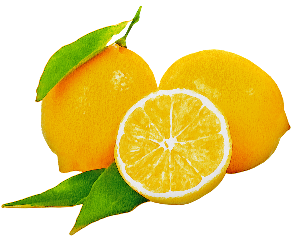 watercolor fruit, fruit, grapefruit-5233886.jpg